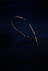 1625723