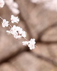 51563560-BF83-4514-91F2-157EDF1A5D6D/L0/001