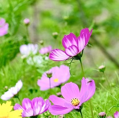 5F335A11-B09B-4D27-8B24-0D241045BEF3/L0/001