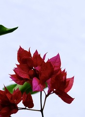 DA84B955-67F0-4DF9-A008-3D6911CE35D2/L0/001