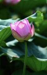 6D3A21EB-981A-4FF5-9BD1-95D83AF03EB8/L0/001
