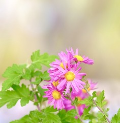 A0D40BB3-3621-4E78-86E1-1ED66A2BA121/L0/001