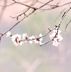0912CF8A-B724-47F5-98F7-91CA6E9261C5/L0/001