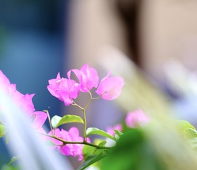 CCC8E4B7-0B69-414A-9A7F-EB7E652AAB37/L0/001