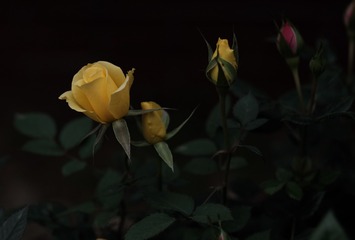 001