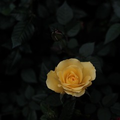 001