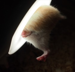 722702