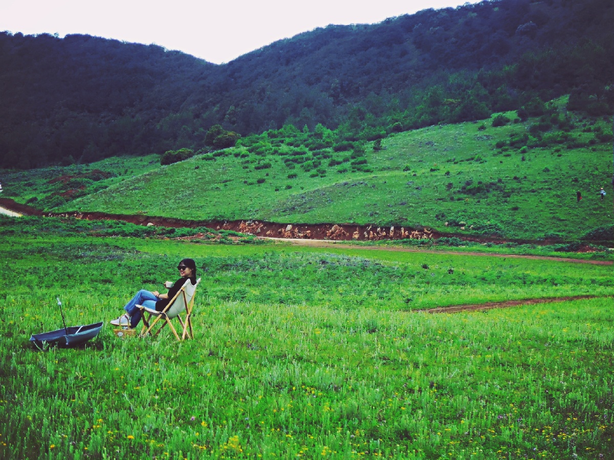 野营,草坪 - 吴小标