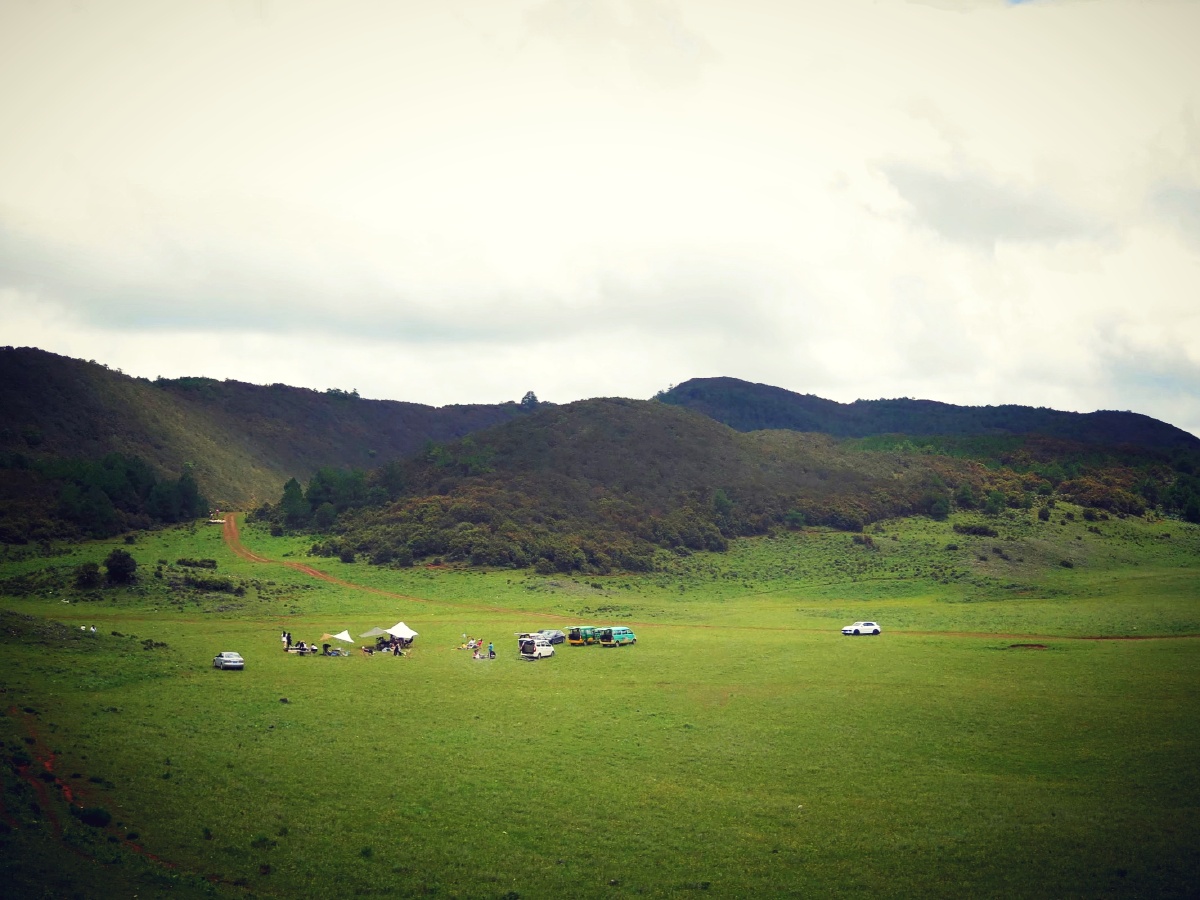 野营,草坪 - 吴小标