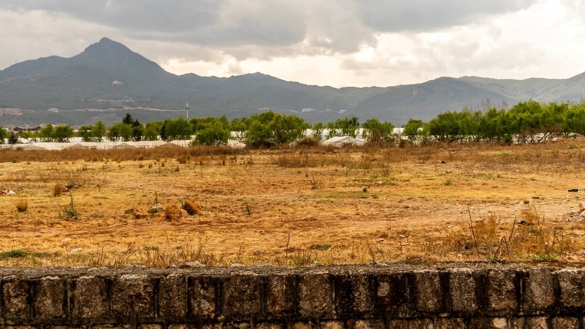 202003城市里的荒野