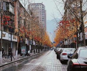 2AF297E7-F0F6-45FC-9D2F-EC541FD617ED/L0/001