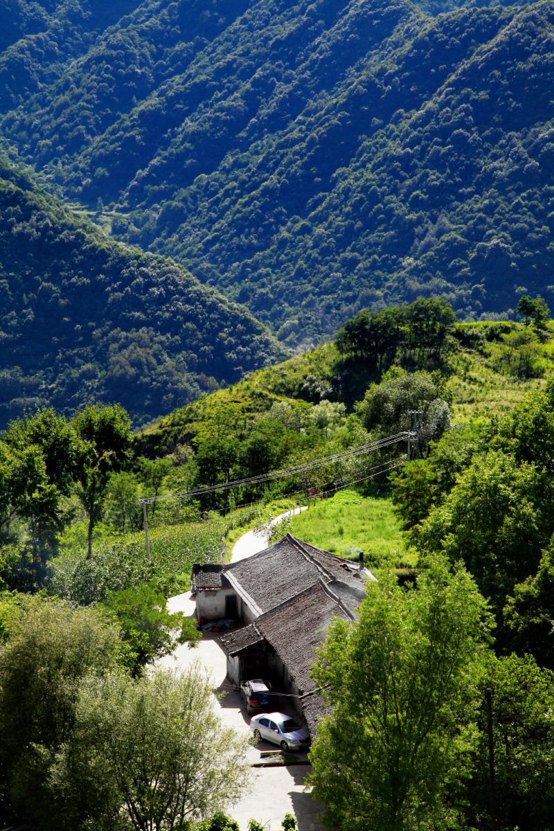 秦岭的瑞士小镇——蓝田流峪高山草甸