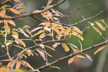 C12E4617-AAD6-4CA1-AA37-65E524F59D49/L0/001