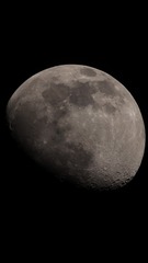 E3F51097-F692-428D-BA53-496850C7DFD1/L0/001