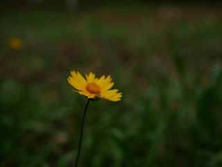 101203