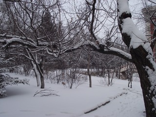1270241