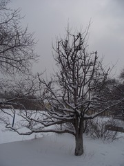 1270211