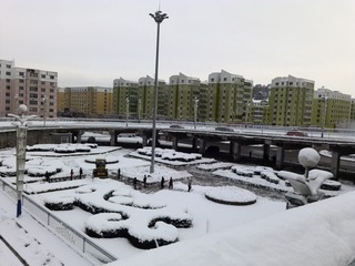 1271241