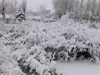 1271223
