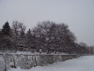 1270216