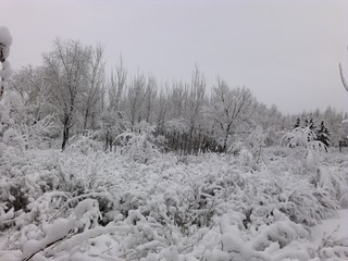 1271231