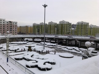 1271242