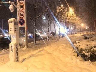 1271215