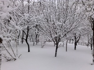 1271221