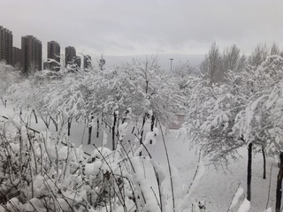 1271250