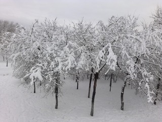 1271248
