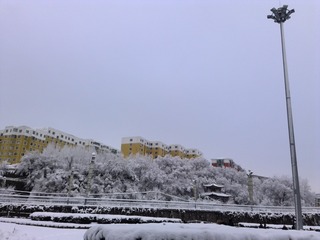 1271237