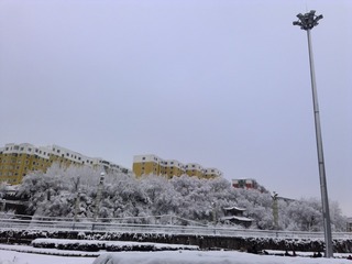 1271236