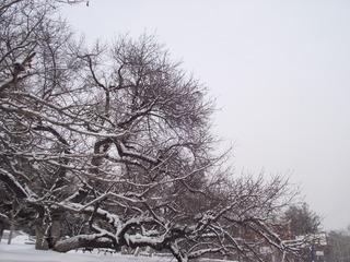 1270222