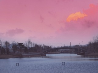 1270614