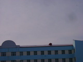 1270860