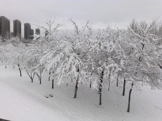 1271246