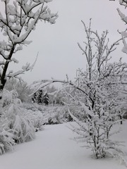 1271225