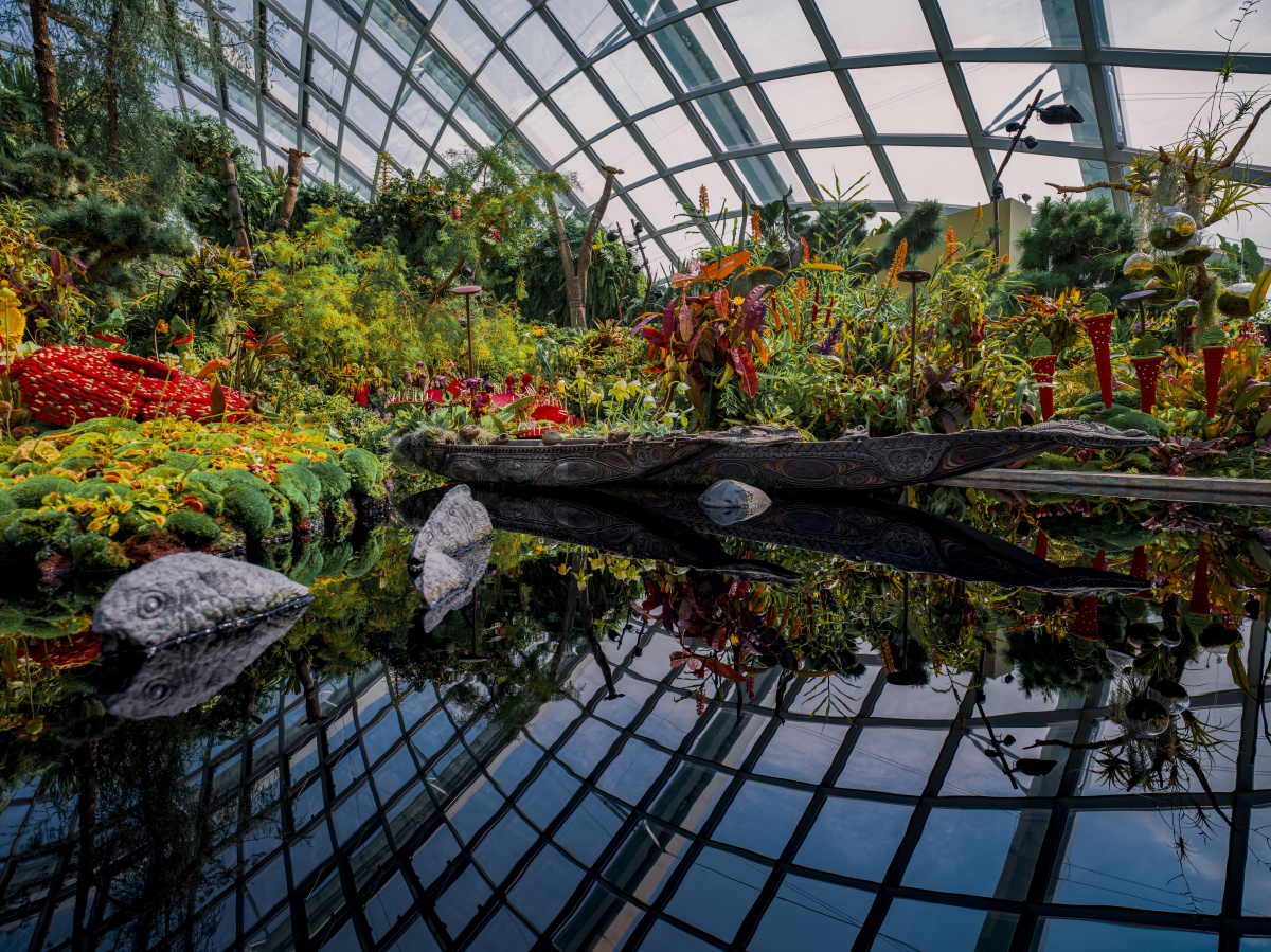 人工与自然的融合新加坡花穹云雾林