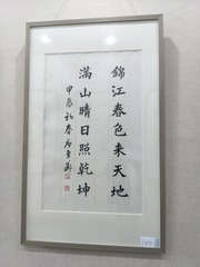 256504