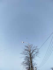 1000008639