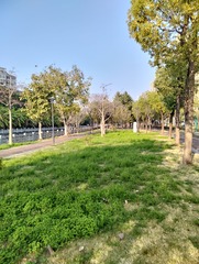 1000007946