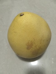 1000002947