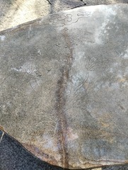 1000006745