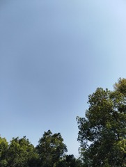 1000008495