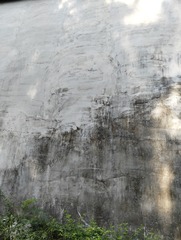 1000002927