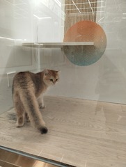 1000003336