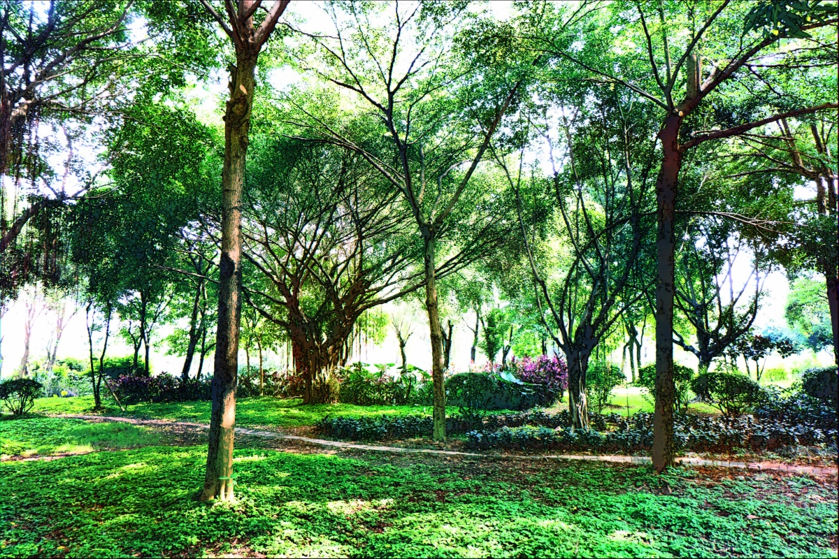 绿树阴浓夏日长