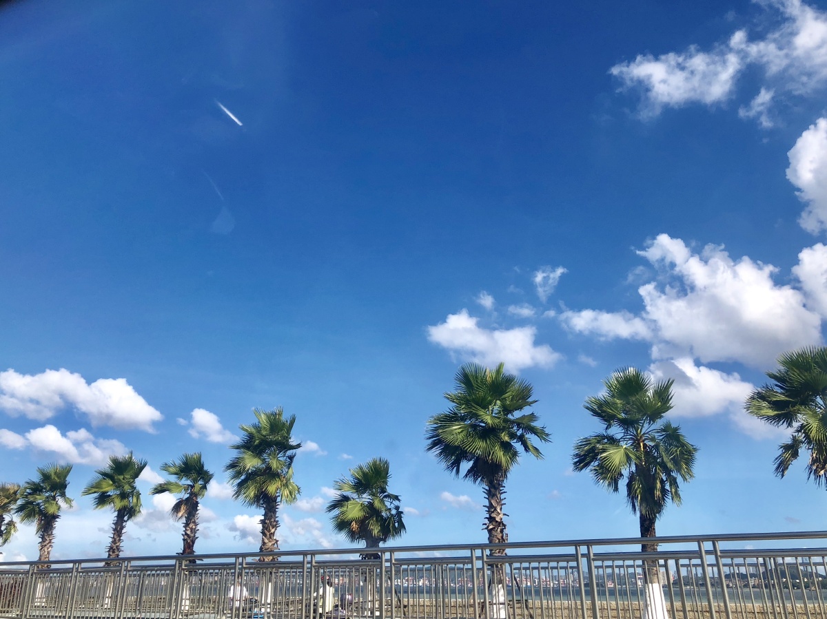 厦门的晴天77