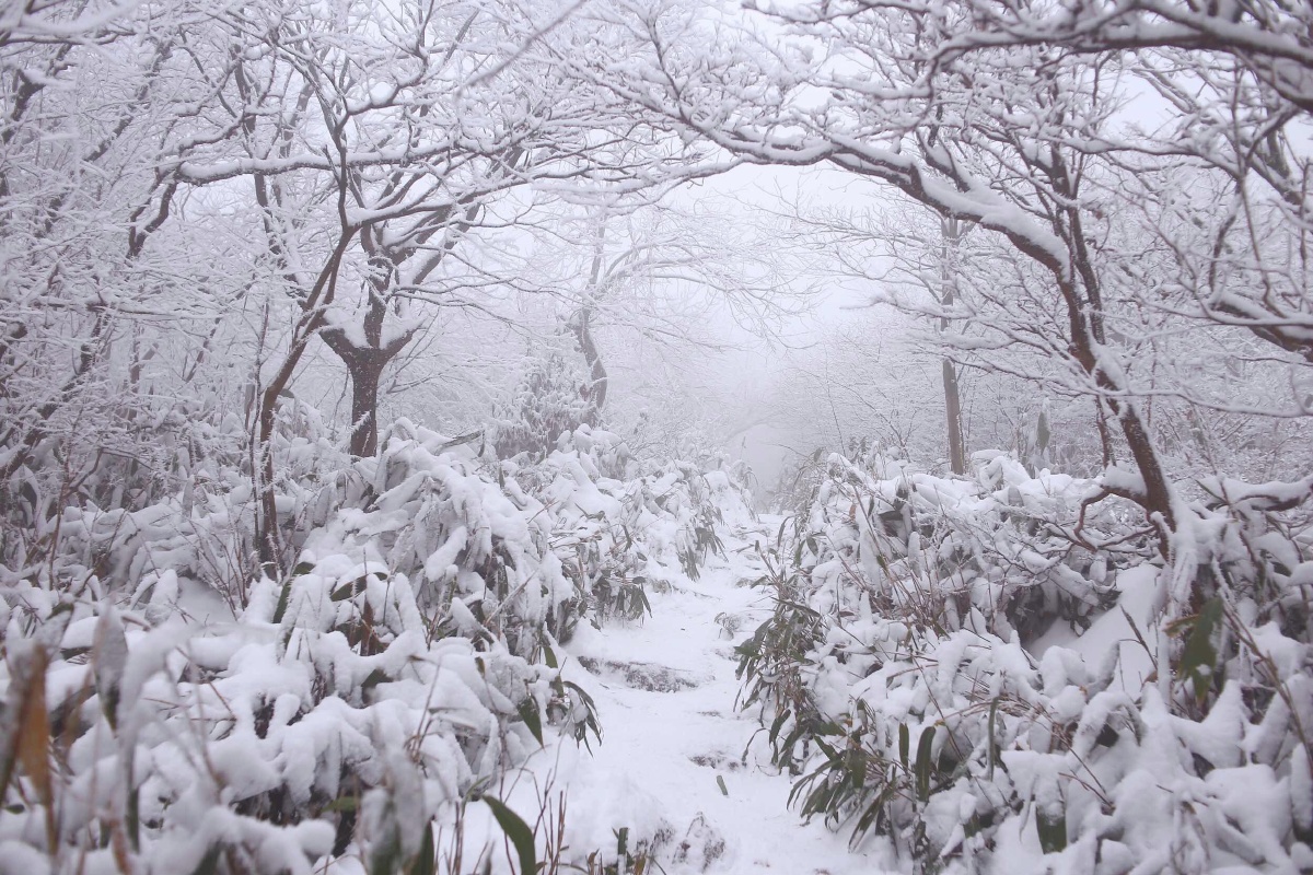 暮雪壁纸,暮雪头像_大山谷图库