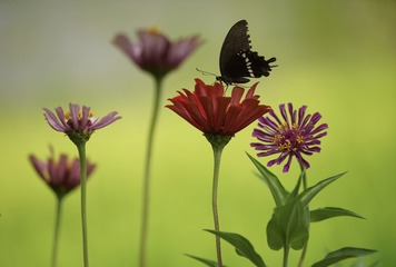 55F7EE62-5DF4-4AF4-B5B4-AE4AFD71ABEE/L0/001